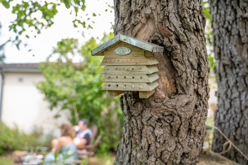 hôtel à insectes sur un arbre dans un jardin
