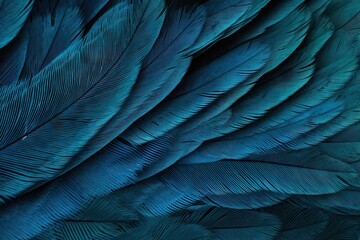 bird animal texture design round pigeon crow cygnet macro background tribal natural plumage blue weightless nature feather macro pattern fashion dove graphic softness photo pigeon feather isolated - obrazy, fototapety, plakaty