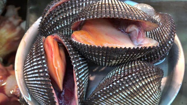 Alive seafood at the Jagalchi Fish Market (Anadara bivalves,  Seashells). Busan, South Korea