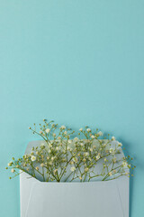 Vertical image of white flowers in white envelope and copy space on blue background