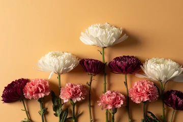 Foto op Plexiglas White, red and pink flowers with copy space on orange background © vectorfusionart