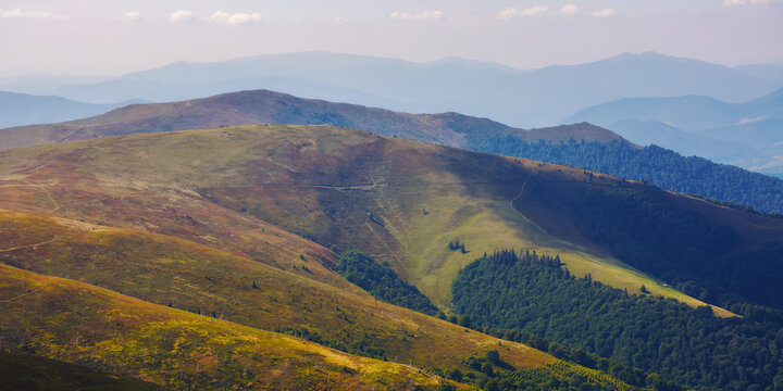 carpathian highlands in fall colors. nature background with colorful alpine hills and meadows in evening light. borzhava ridge, transcarpathia, ukraine