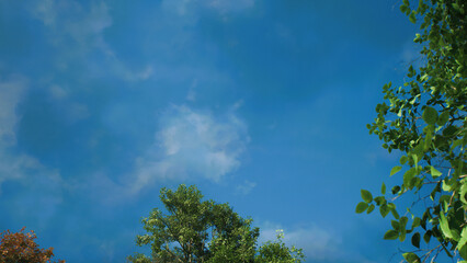 青空と白い雲と緑の木立その一