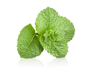one sprig of mint. isolated white background