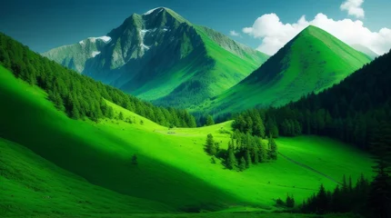 Fotobehang Mountain landscape with green grass and blue sky. Generative ai  © GlambGarb