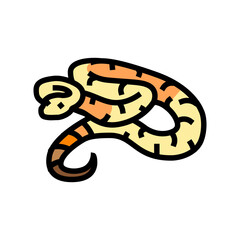 boa constrictor animal snake color icon vector. boa constrictor animal snake sign. isolated symbol illustration