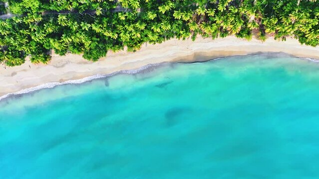 Top view of palm trees, white sand, turquoise water on a beautiful tropical beach. Paradise in the Seychelles. Anse Georgette dream beach on Praslin. Travel and vacation at sea.