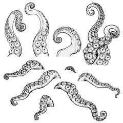 触手10点セット © 萌 熊田