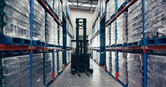 People, warehouse and time lapse in storage control, inventory inspection or shipment in supply chain. Group of employees in busy, export or import business in checking stock or product distribution