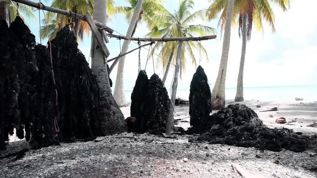 Pearl farming in French Polynesia