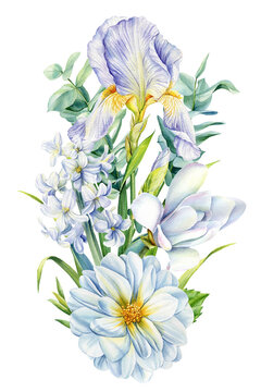 Beautiful flowers on isolated white background, iris, tulip, hyacinth, green leaves, watercolor botanical white flowers