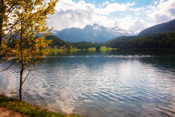 Saint Moritz lake in Switzerland in summer