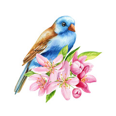 beautiful apple flowers and blue bird on branch, isolated white background, watercolor botanical painting illustration