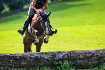 Brown horse with rider jumping over a terrain obstacle tree trunk..