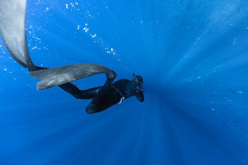 Freediver Swimming in Deep Sea With Sunrays. - 642012502