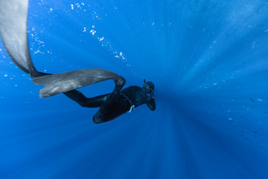 Freediver Swimming in Deep Sea With Sunrays.