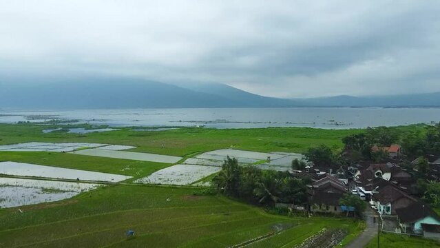 Aerial view of the lake Rawa Pening locate Semarang, Indonesia. Views around Rawa Pening, green rice fields and views of mountain groups, namely Mount Merbabu, Andong, Telomoyo and Ungaran