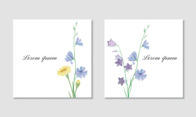 Vector watercolor square card template with bellflower, chicory and coltsfoot - 642018561