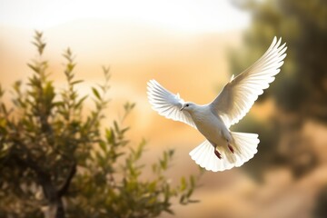 Peace, A majestic bird soaring above a lush forest landscape