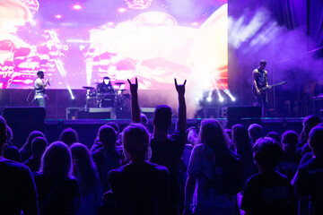 crowd at concert - summer music festival.