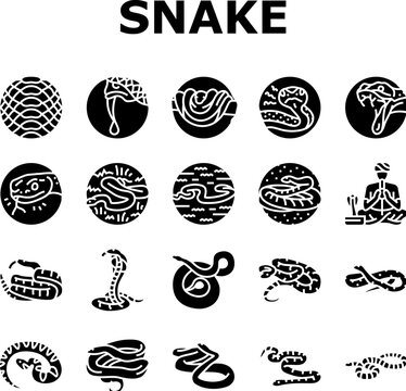 snake black serpent viper cobra icons set vector. python anaconda, animal tattoo, cute mamba, skin reptile, jungle wild snake black serpent viper cobra glyph pictogram Illustrations