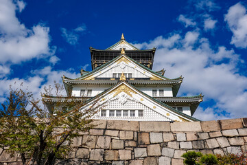 秋晴れの空と紅葉に彩られた大阪城天守閣（大阪府大阪市）