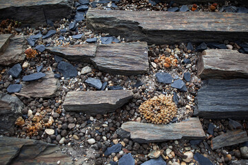 Nature even lives in the desert