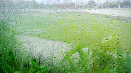 Rain drop on glass window with green plant outside home, Abstract background of  rain water wet on window