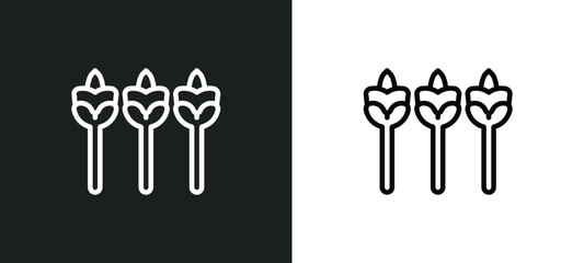 asparagus icon isolated in white and black colors. asparagus outline vector icon from fruits collection for web, mobile apps and ui.