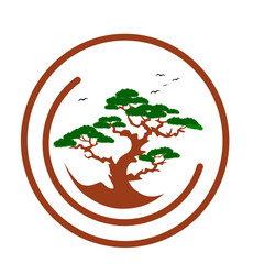 Bonsai tree illustration logo design on white background