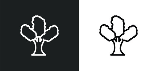 eastern cottonwood tree icon isolated in white and black colors. eastern cottonwood tree outline vector icon from nature collection for web, mobile apps and ui. - obrazy, fototapety, plakaty