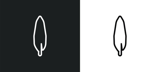 willow leaf icon isolated in white and black colors. willow leaf outline vector icon from nature collection for web, mobile apps and ui.
