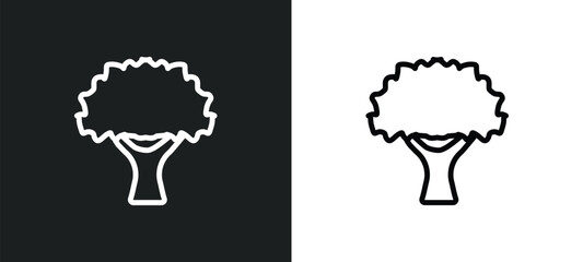 sugar maple tree icon isolated in white and black colors. sugar maple tree outline vector icon from nature collection for web, mobile apps and ui. - obrazy, fototapety, plakaty