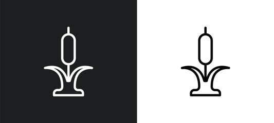 reed icon isolated in white and black colors. reed outline vector icon from nature collection for web, mobile apps and ui.