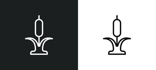 reed icon isolated in white and black colors. reed outline vector icon from nature collection for web, mobile apps and ui.