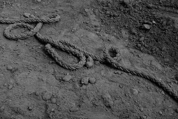 Twisted rope on the sand