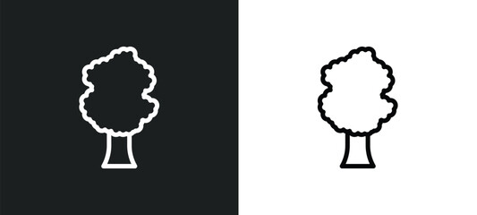 sassafras tree icon isolated in white and black colors. sassafras tree outline vector icon from nature collection for web, mobile apps and ui.