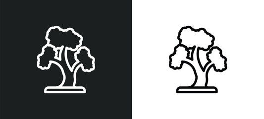 red pine tree icon isolated in white and black colors. red pine tree outline vector icon from nature collection for web, mobile apps and ui.