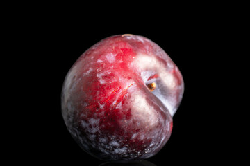 One ripe black plum, macro, isolated on black background.