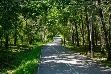 Obraz premium empty marble road in the park