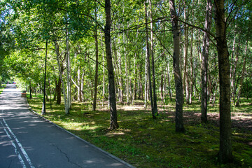 empty marble road in the park