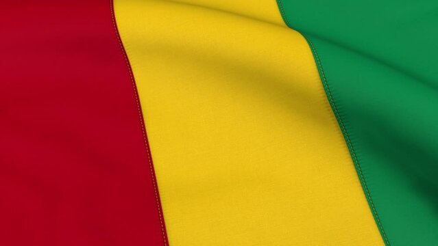 Guinea Flag Loop Background