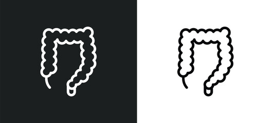 colon icon isolated in white and black colors. colon outline vector icon from medical collection for web, mobile apps and ui.