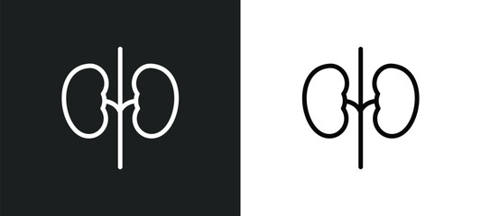 kidneys icon isolated in white and black colors. kidneys outline vector icon from medical collection for web, mobile apps and ui.