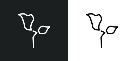 gladiolus icon isolated in white and black colors. gladiolus outline vector icon from nature collection for web, mobile apps and ui.