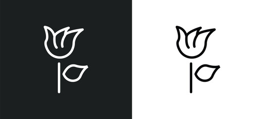 knapweed icon isolated in white and black colors. knapweed outline vector icon from nature collection for web, mobile apps and ui.