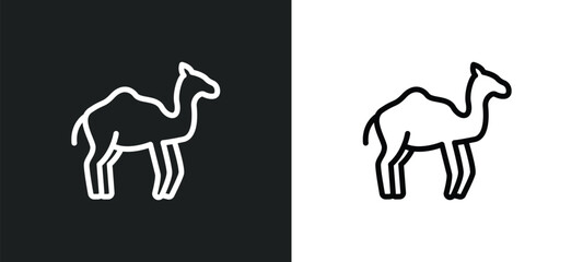 dromedary icon isolated in white and black colors. dromedary outline vector icon from religion collection for web, mobile apps and ui.