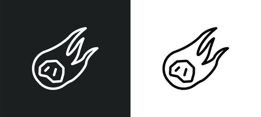 meteorite icon isolated in white and black colors. meteorite outline vector icon from stone age collection for web, mobile apps and ui.