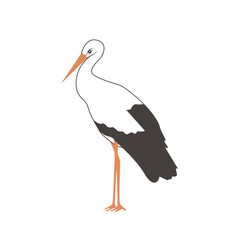 Standing Stork bird isolated on white background. Birds cartoon or flat icon vector illustration