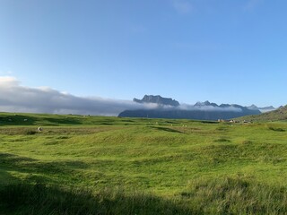 Fototapeta premium landscape with grass and sky